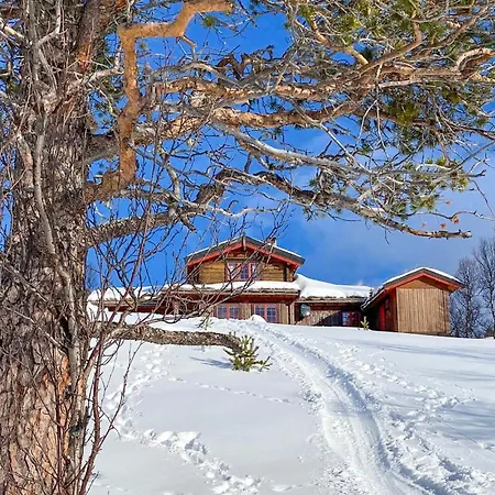 Stunning In With Sauna Oppdal